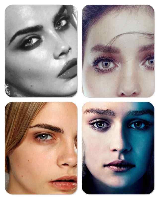 bushy_eyebrows_collage01