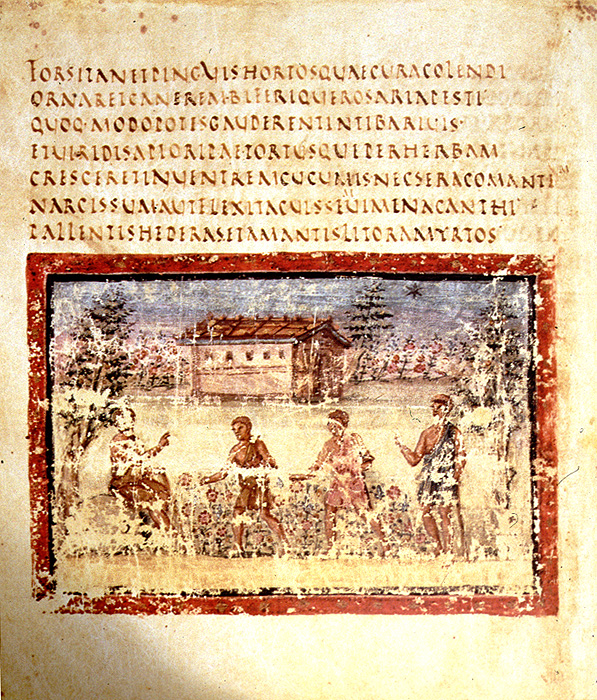A page from the Vergilius Vaticanus, a pagan work written in Roman Rustic script