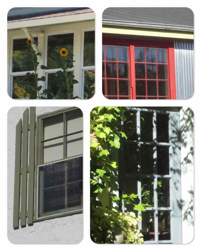 windows_collage