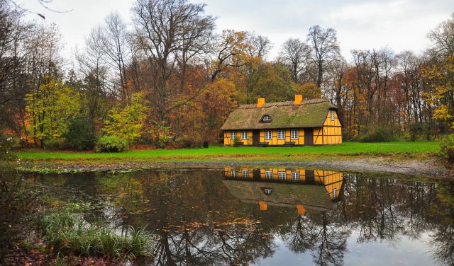 gentoftedenmarkautumn