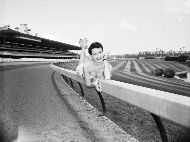 hollywoodpark1954