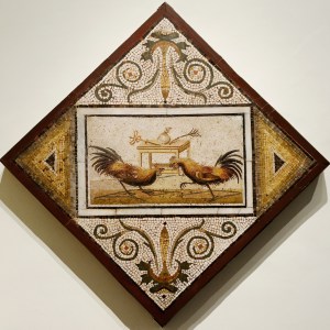 Cockfight_Santangelo