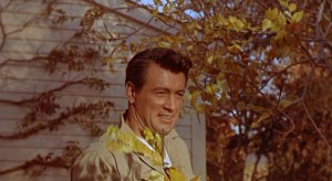 all-that-heaven-allows-8