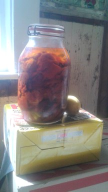 20150829_105619-001 - Copy (2)