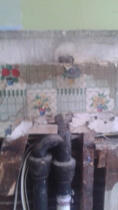 20150829_105659 - Copy - Copy (2)