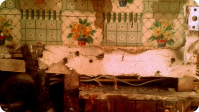 20150829_105717 - Copy - Copy